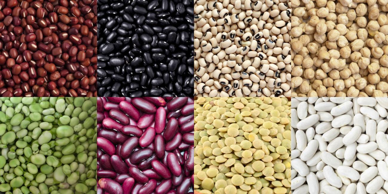 bean_banner